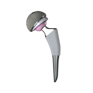 Orthopedic Titanium Hip Joint Prosthesis Implant Veterinary Instrument
