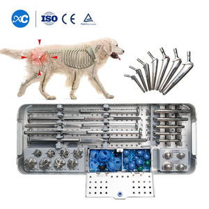 Veterinary Total Hip Prosthesis System for Large Animals Sterilized CE ISO